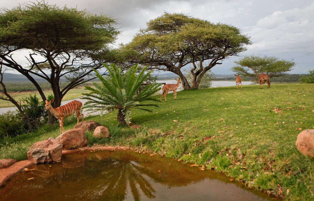 Nkwazi Lake Lodge Pongola Exterior photo